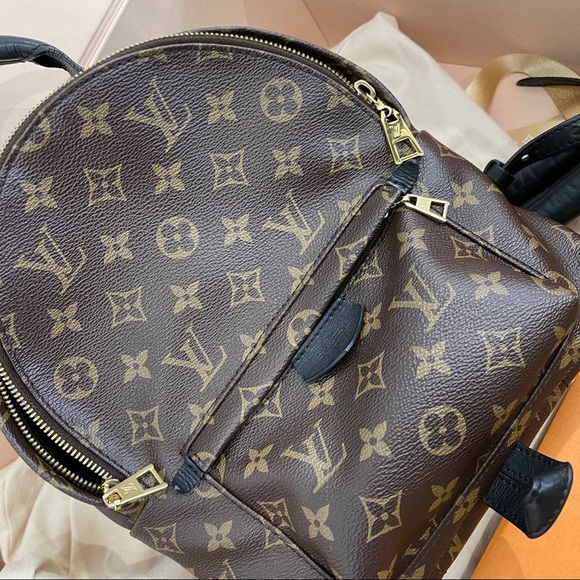 Louis Vuitton Pm backpack